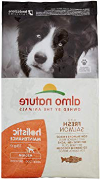 Almo Nature Cibo per cani olistico medio, con salmone e riso, 12 kg