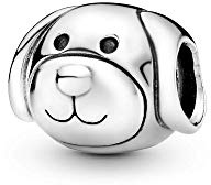 Pandora Accessori Donna Argento 925