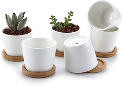 T4U 6.5CM Set of 6 Rotondo Sucuulent Erba Vaso con bambù VassoioCeramica Vaso di Fiori Pianta con Vassoio di bambù Succulente Cactus Vaso di Fiori Giardino i vasi di Fiori vasi di Piante.