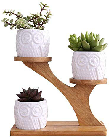 
                
                    
                    
                

                
                    
                    
                        LINGLAN 1 set gufo in ceramica vasi da giardino moderno decorativo cameretta succulente piante vasi da fiori fioriere 3 bonsai con mensola ripiani in bambù
                    
                

                
                    
                    
                
            