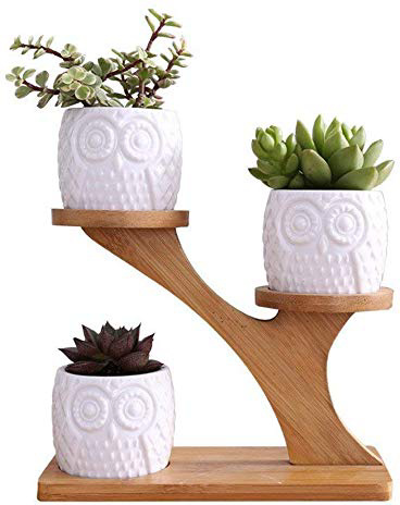 LINGLAN 1 set gufo in ceramica vasi da giardino moderno decorativo cameretta succulente piante vasi da fiori fioriere 3 bonsai con mensola ripiani in bambù
