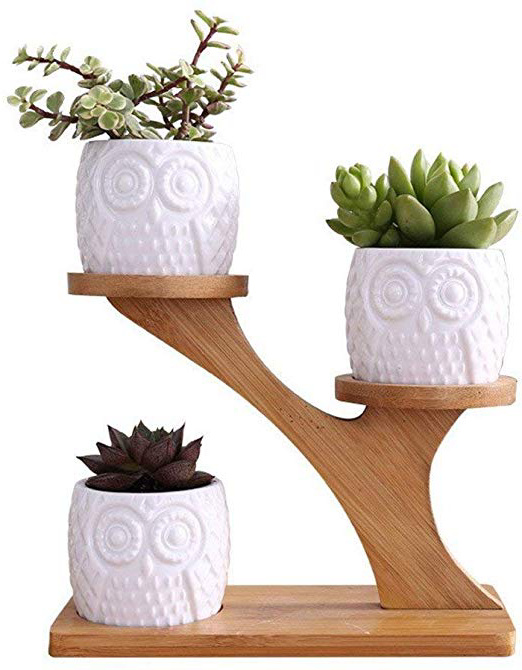 LINGLAN 1 set gufo in ceramica vasi da giardino moderno decorativo cameretta succulente piante vasi da fiori fioriere 3 bonsai con mensola ripiani in bambù