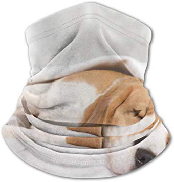 Bgejkos Scaldacollo in Pile , Multifunzionale Piccolo Cane da Lepre Cane da Lepre Sciarpa per Dormire a casa Maschera Intera Inverno Mantenere più Caldo Polvere Proteine solari
