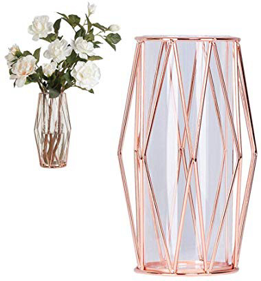 Perfuw Vaso da fiori in vetro con supporto geometrico in metallo, terrari trasparenti per fiori e piante idroponiche, centrotavola per casa, ufficio, matrimonio