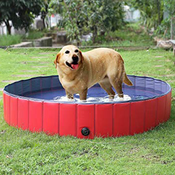 
                
                    
                    
                

                
                    
                    
                        Femor Piscina per Bambini, Piscina per Cani, Gatti, Bagno per Cani, Piscina Piegevole, Antiscivolo in PVC, Resistente all'Usura, per i Bambini Regalo[160 × 160 × 30cm]
                    
                

                
                    
                    
                
            