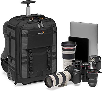Lowepro LP37272-PWW Zaino/Trolley Trasformabile per Fotografia, Grigio
