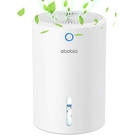 Aidodo Deumidificatore per Casa Deumidificatori D'Aria Mini Portatile, Silenzioso, 900ml, Assorbire l'acqua 300ml/24h, Auto-off, Contro la Muffa e L'umidità per Ambienti,Casa, Armadio o Garage